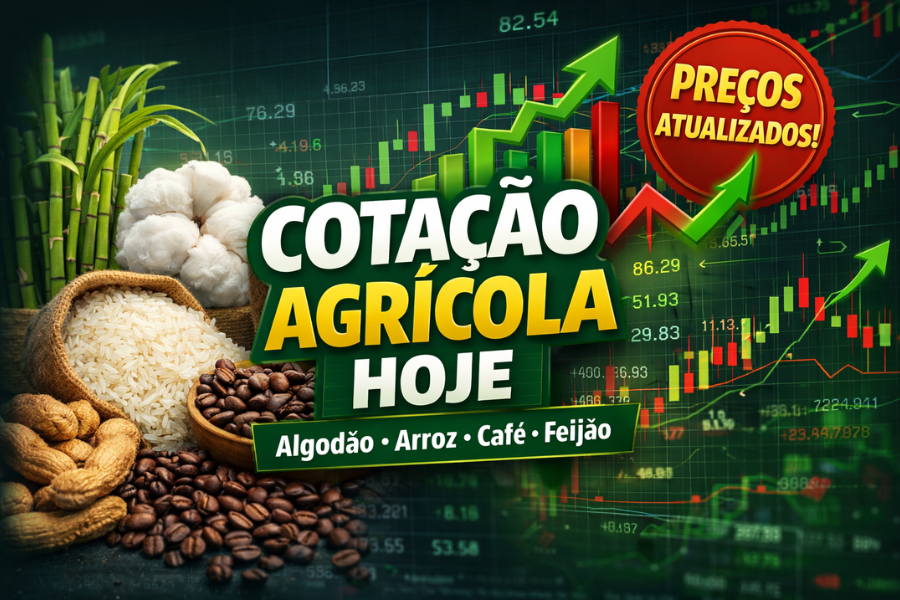 Cota&ccedil;&atilde;o Do Algod&atilde;o-Arroz-A&ccedil;&uacute;car-Cafe-Feij&atilde;o