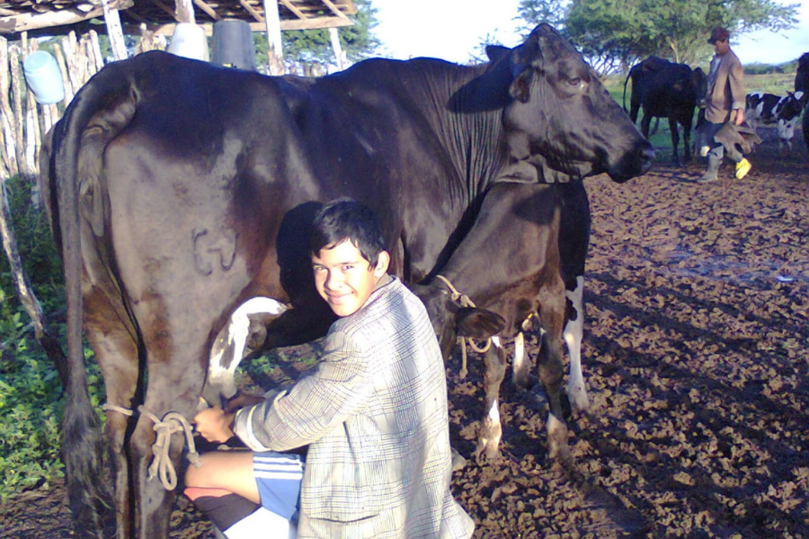Do campo à inovação: a história inspiradora de Gabriel Tavares, jovem produtor do interior de Alagoas
