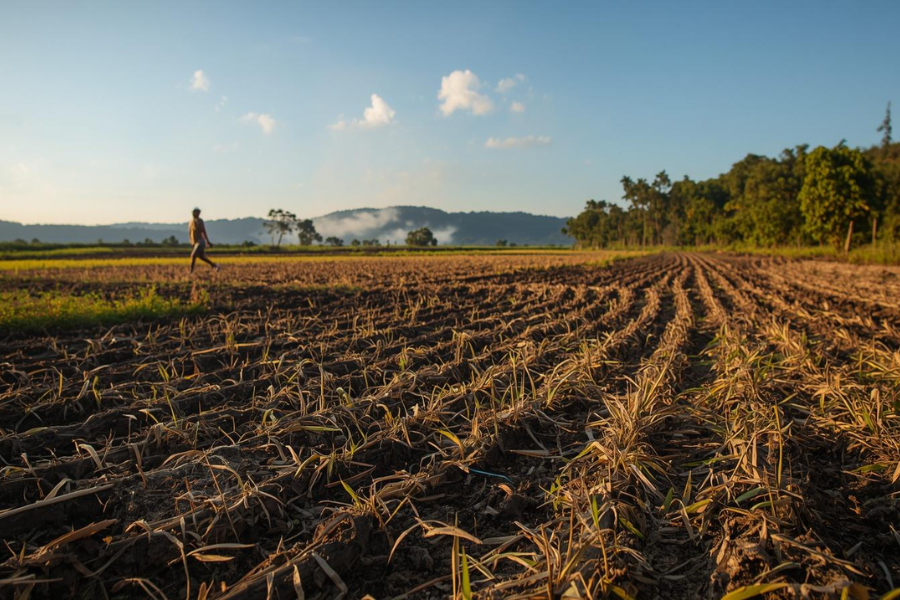 Per&iacute;odo Seco Avan&ccedil;a no Norte e Preocupa Produtores Rurais