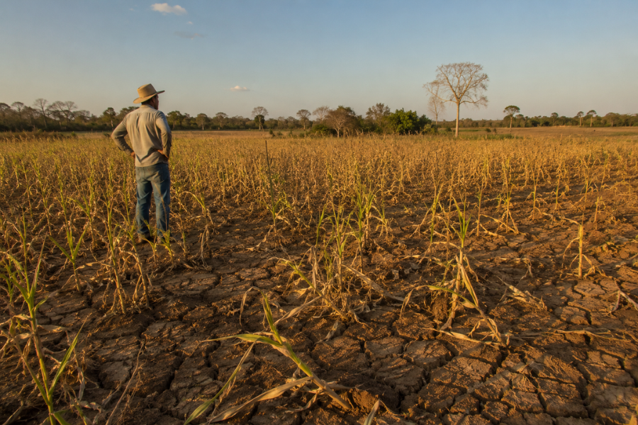 Tempo Seco Avança no Norte e Preocupa Produtores Rurais