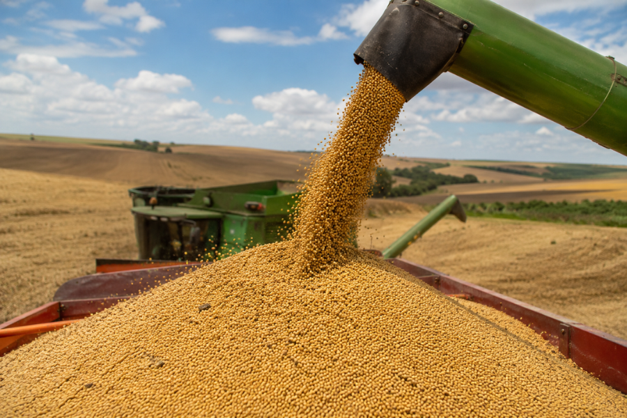 Brasil Deve Exportar 12,8 Milh&otilde;es de Toneladas de Soja em Junho