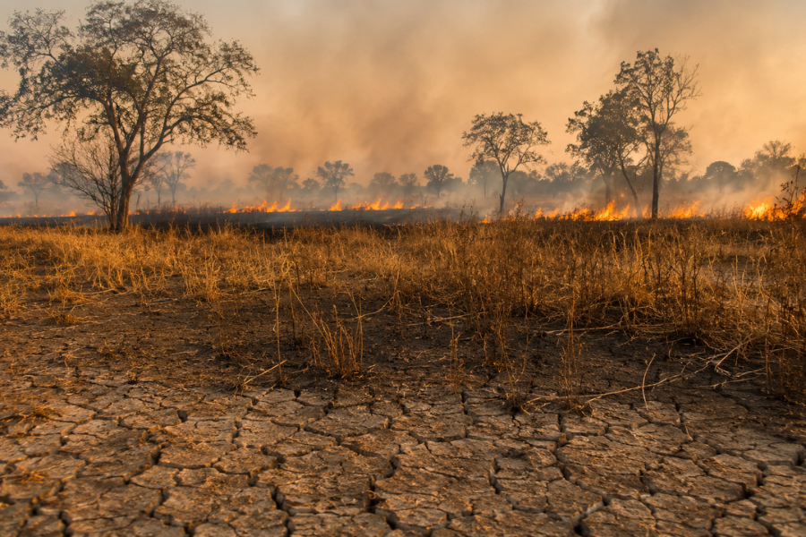 Seca Aumenta Risco de Inc&ecirc;ndios e Preocupa Produtores Rurais