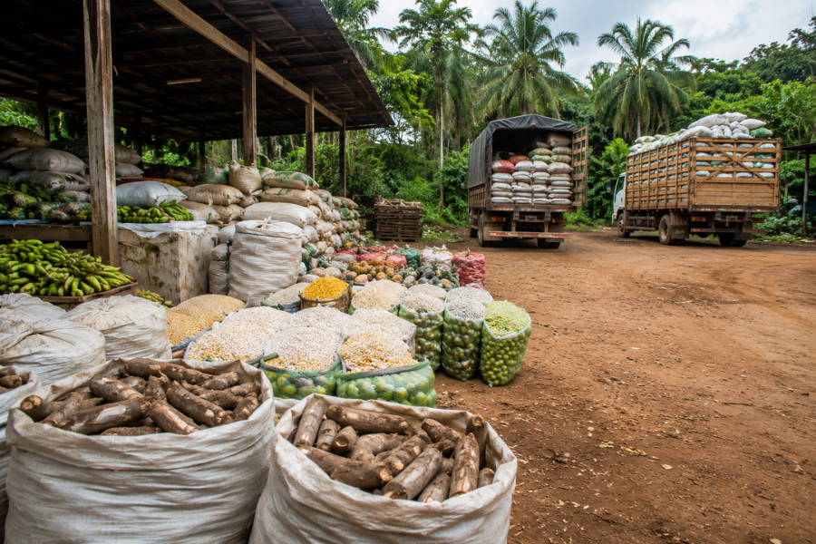 Conab Investe R$ 3,1 Milhões na Compra de Alimentos no Pará
