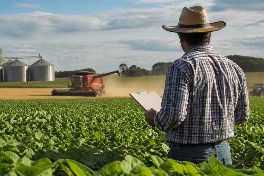 Governo Destrava Cr&eacute;dito Rural e Libera R$ 142 Bilh&otilde;es para a Nova Safra