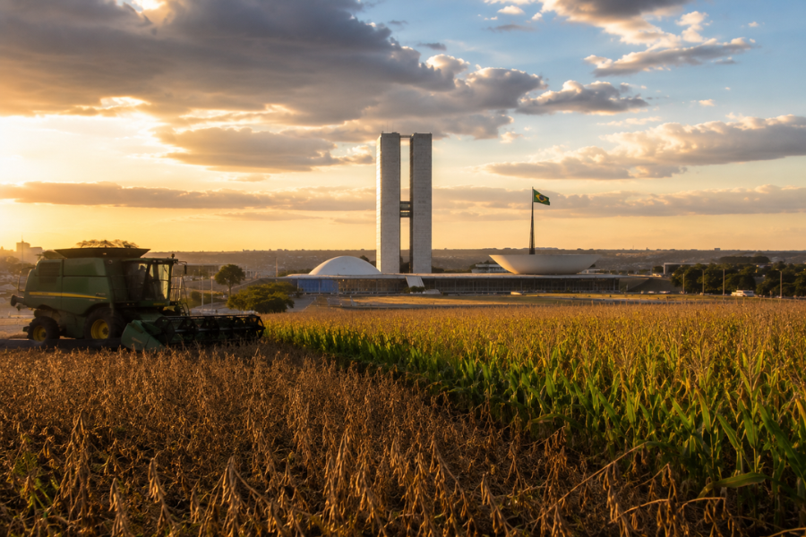 Ano Eleitoral pode Travar Pautas Decisivas para o Agroneg&oacute;cio