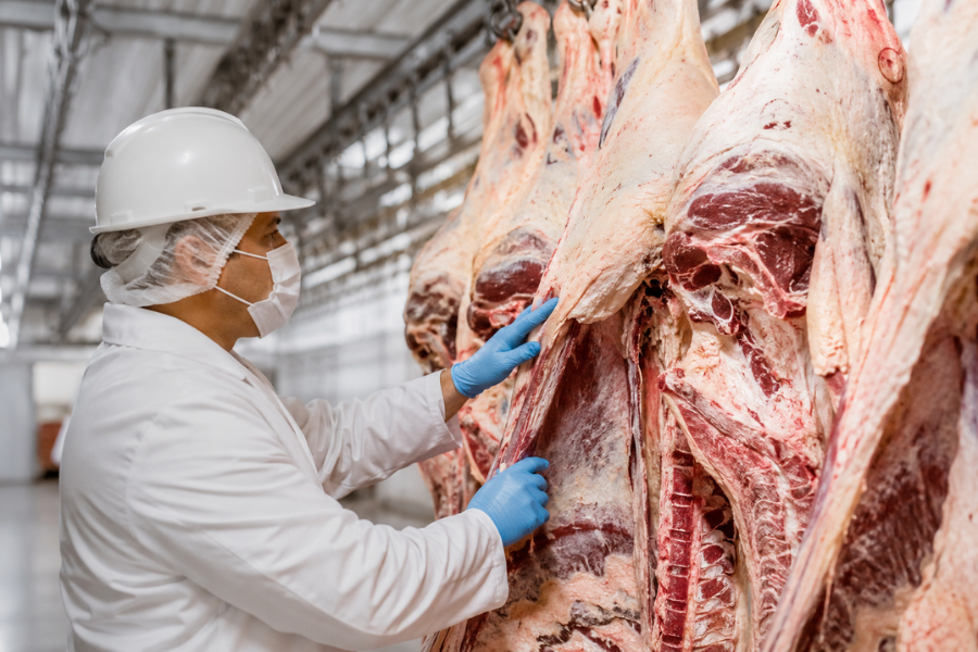 O Diferencial que Protege a Carne Brasileira e Preocupa Países Concorrentes