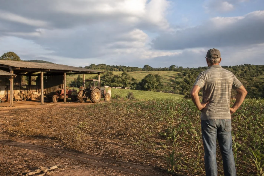 Recupera&ccedil;&atilde;o Judicial no Agro cresce 21,9% no Primeiro Trimestre
